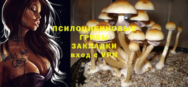 кокс Ельня