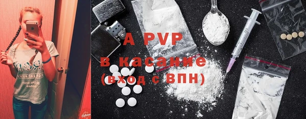 стаф Елизово