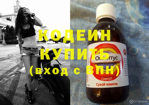 стаф Елизово