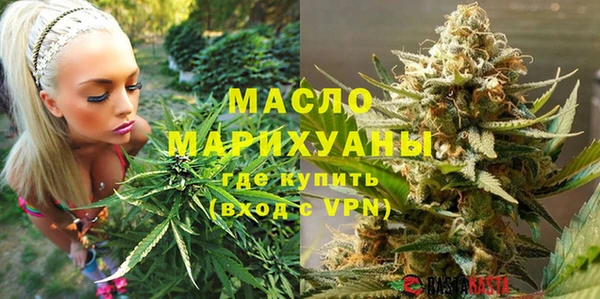 мет Елабуга