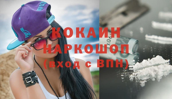 кокс Ельня
