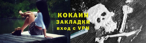 стаф Елизово