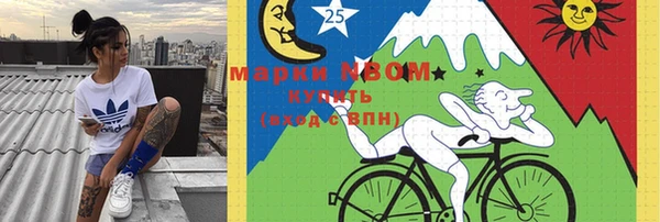 кокс Ельня