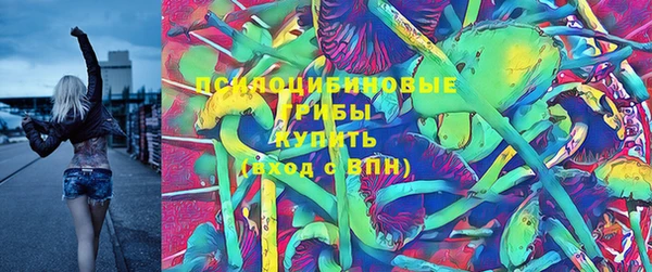 мет Елабуга