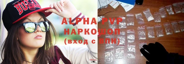 стаф Елизово