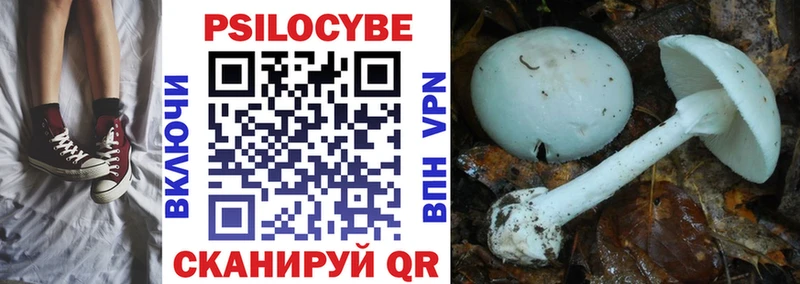 Псилоцибиновые грибы мухоморы blacksprut tor Салаир купить наркотики сайты