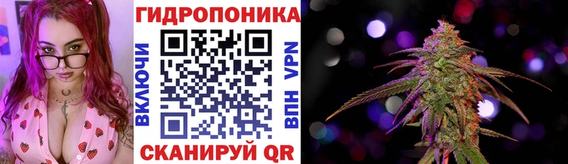 Канабис планчик  Салаир 